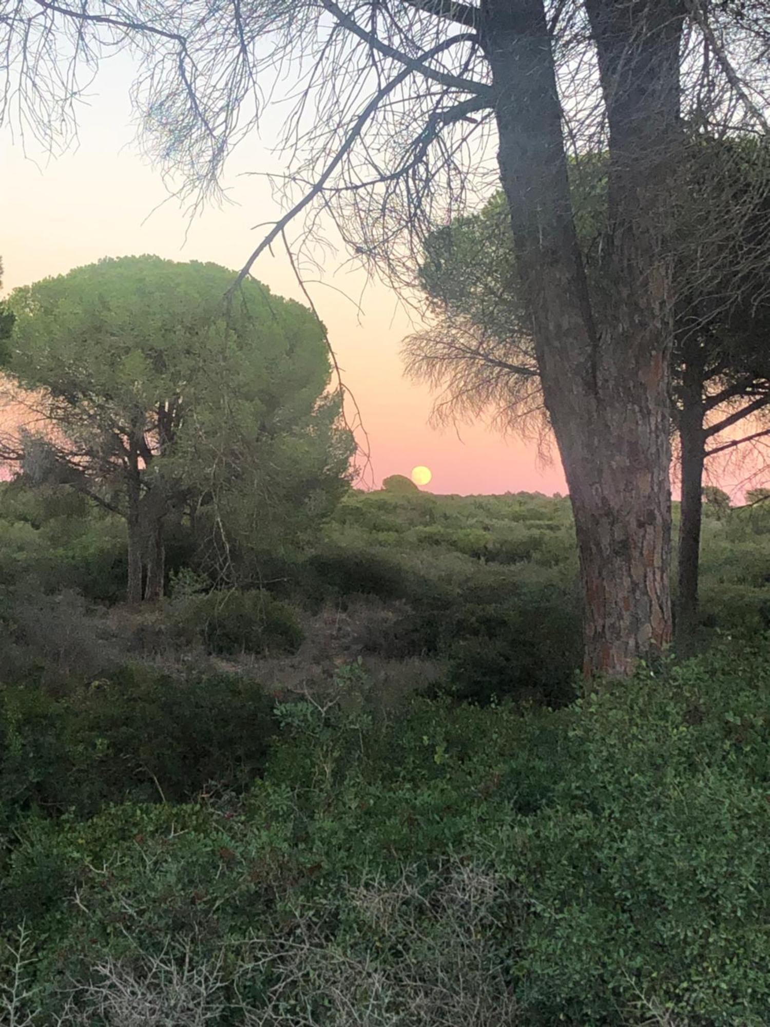 شيكلانا دي لا فرونتيرا Casa Rural Los Pepe Sancti Petri المظهر الخارجي الصورة