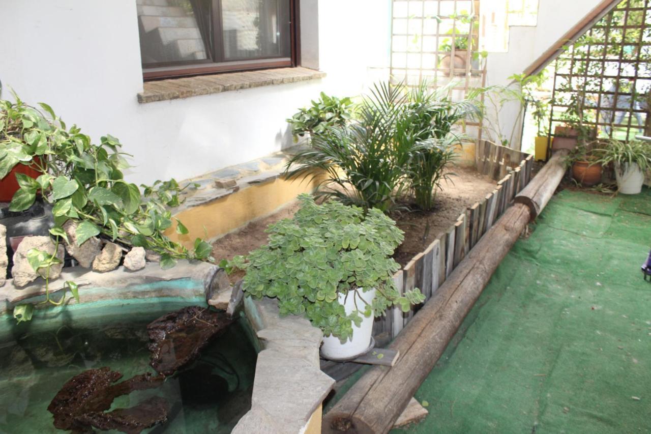 شيكلانا دي لا فرونتيرا Casa Rural Los Pepe Sancti Petri المظهر الخارجي الصورة